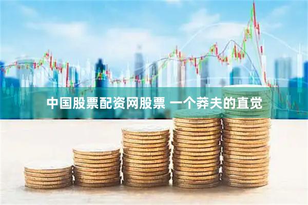 中国股票配资网股票 一个莽夫的直觉