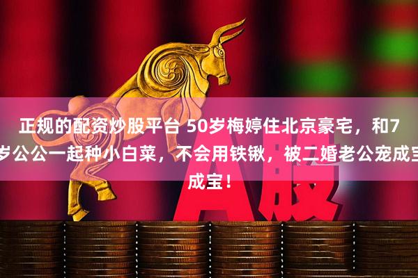 正规的配资炒股平台 50岁梅婷住北京豪宅，和73岁公公一起种小白菜，不会用铁锹，被二婚老公宠成宝！